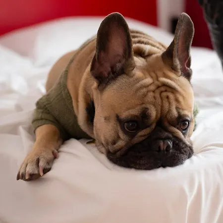 Citizen By Dahlia * Sliema