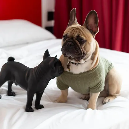 Gasthuis Citizen By Dahlia Sliema